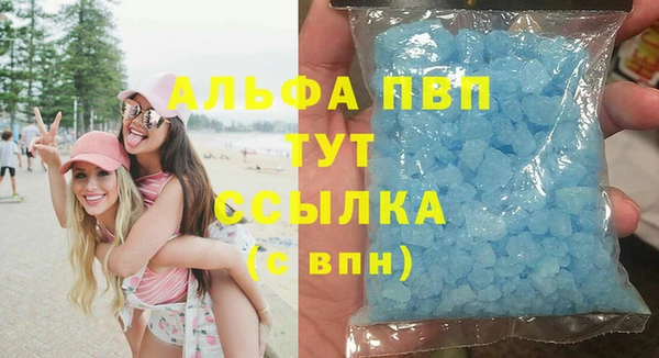твердый Порхов