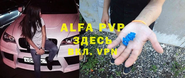 PSILOCYBIN Почеп