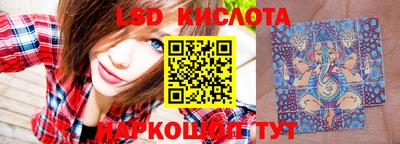 шишки Абинск