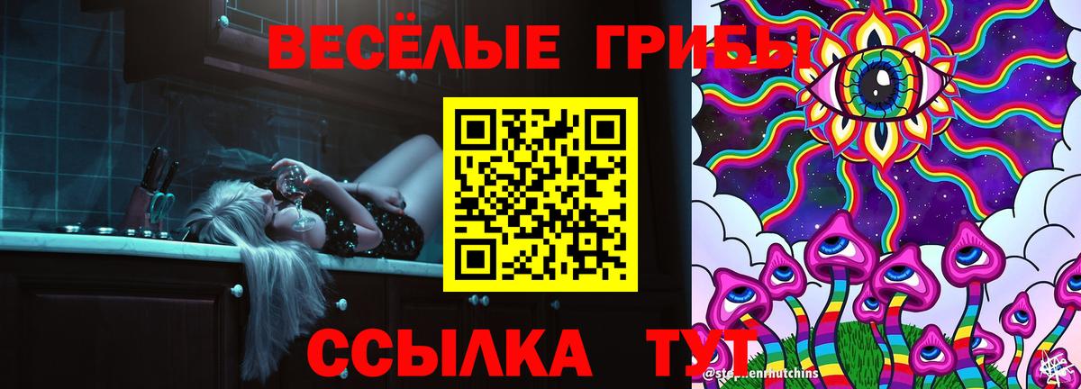 Псилоцибиновые грибы Psilocybe Россия