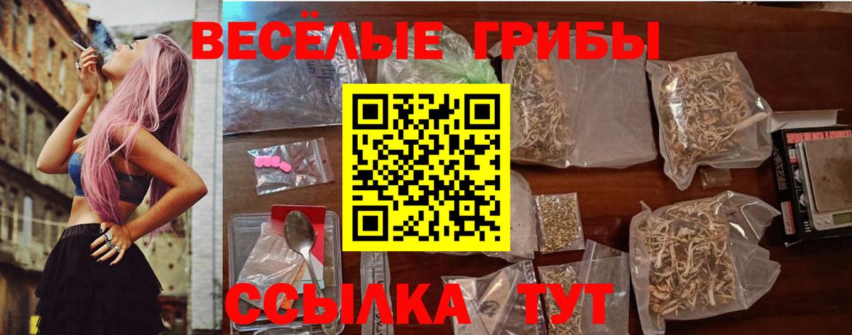 Псилоцибиновые грибы мицелий Россия